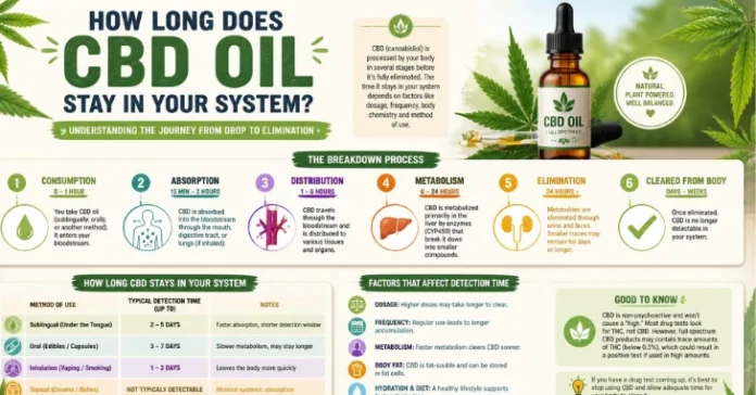 Long Does CBD Oil Stay in Your System